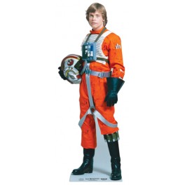 Luke Skywalker Lifesize Cardboard Cutout