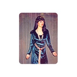 Medieval Lady Costume