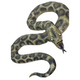 Large Python Snake