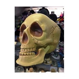 Large Skull