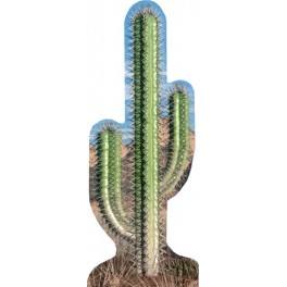 Cactus Cardboard Cutout Scene Setter