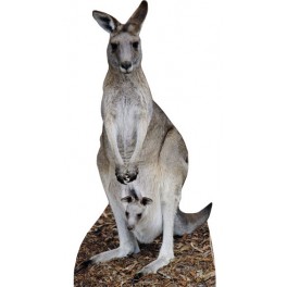 Lifesize Cardboard Cutout Kangaroo