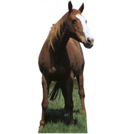 Cardboard Cutout Horse Figure