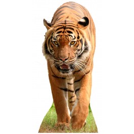 Lifesize Cardboard Cutout Tiger Figure